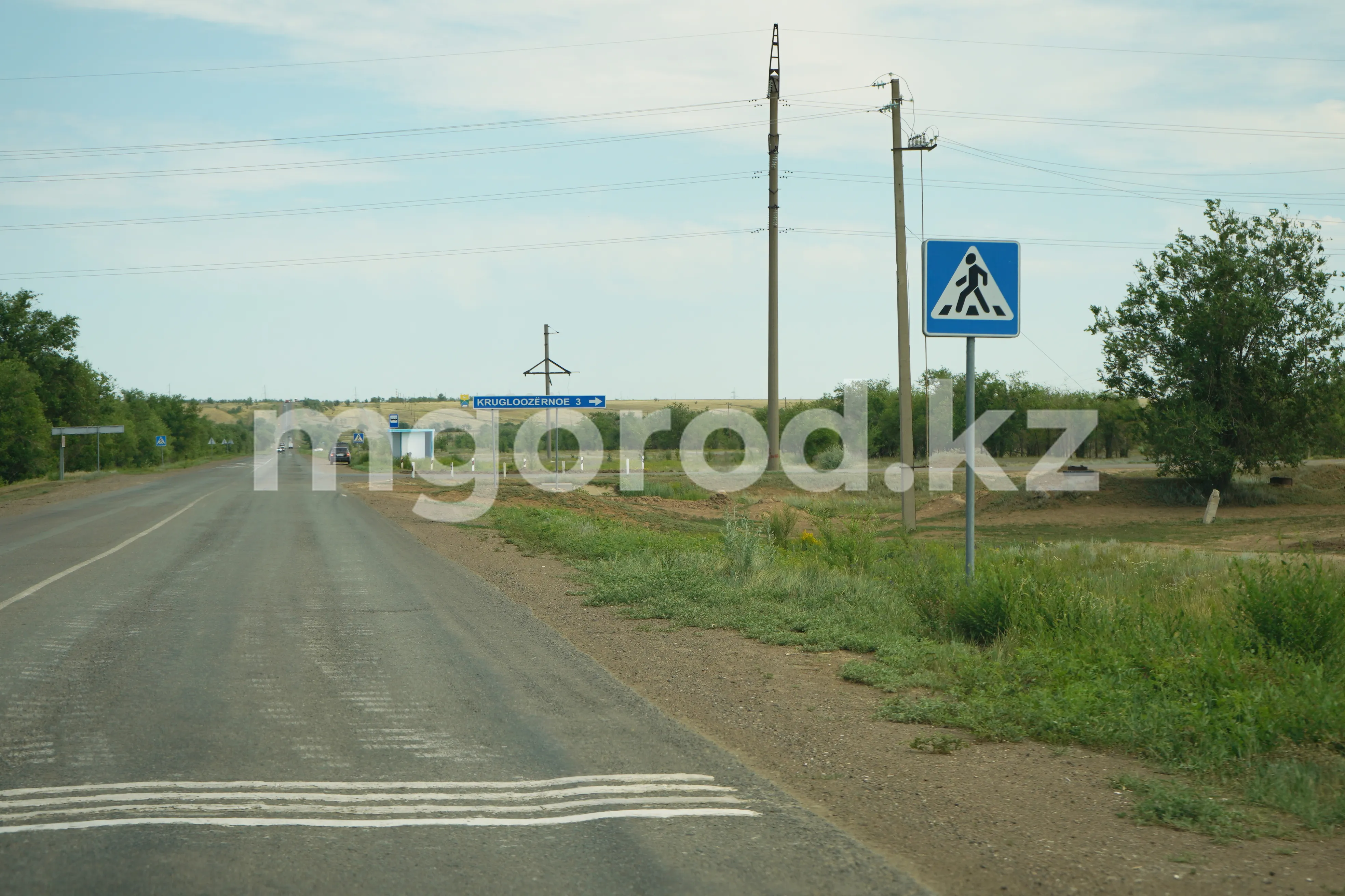 Смерть подростка на трассе: премьер-министр РК дал поручение акимам